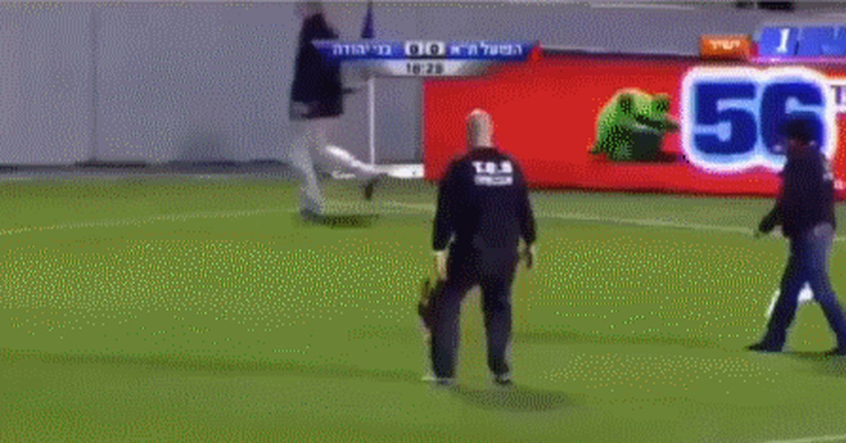 What does a typical fan look like who runs onto the field during a match) - Football, Rooster, Louis Van Gaal, GIF