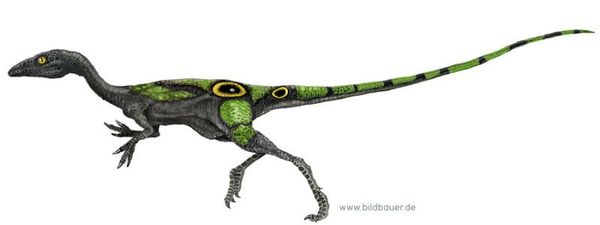  ,  , , , , , Compsognathus, 