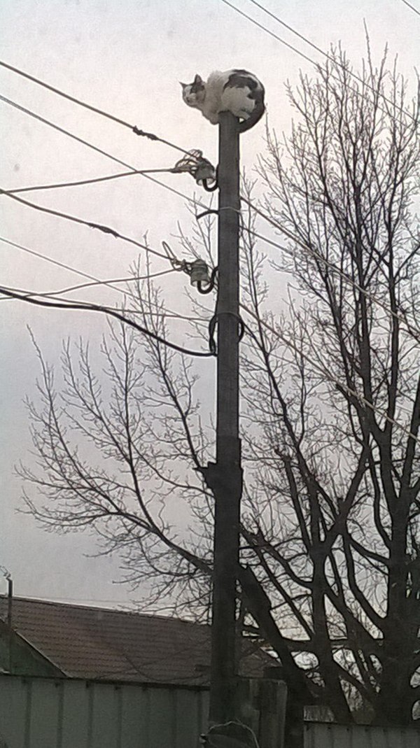 �������� �������, ����� 2