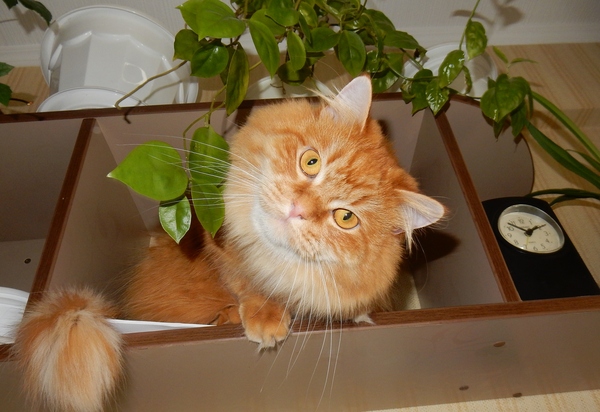 � �������, �� ������� ��� ������, ��?