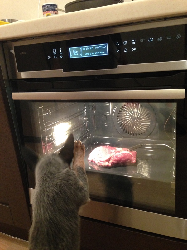 Может откроем дверцу?