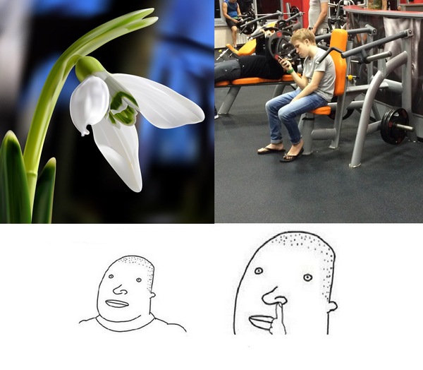 ����� 10 �������