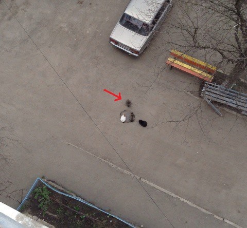 �������� � ���� - � ��� ��� ��� ����� ������)