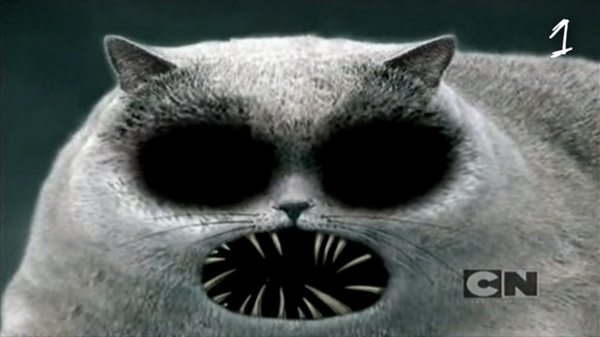 Погладь котэ