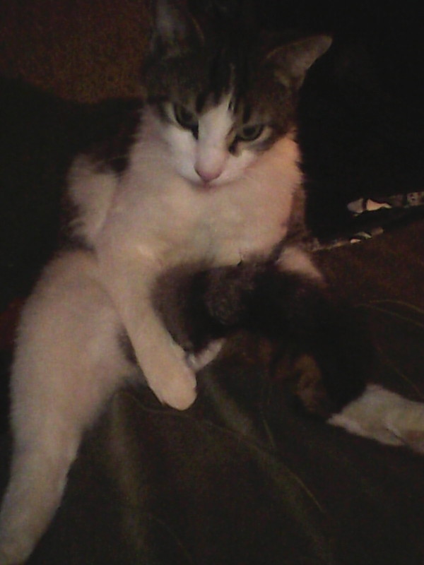 ��� ���...��������