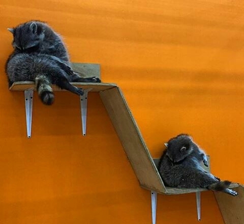 CTRL+C CTRL+V
