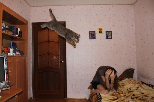 ����������!