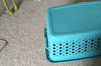 -Что там у тебя? Ого! Беру!