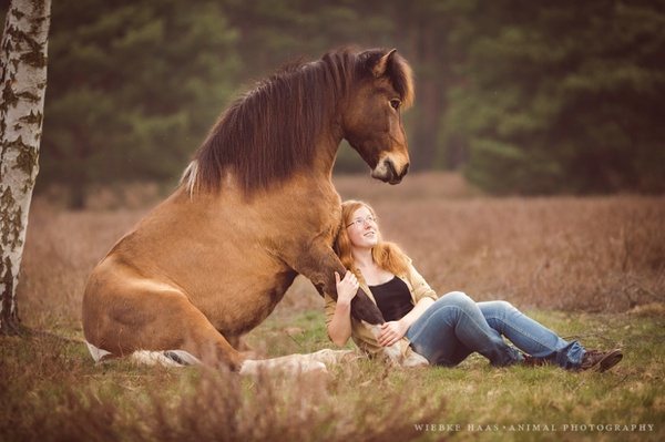 ��������