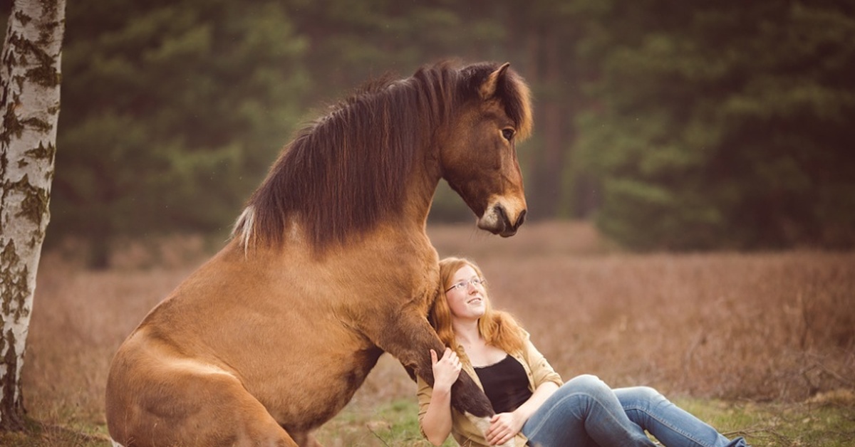 Доверие лошади. Девушка обнимает лошадь. Человек на лошади. Лошади обнимаются. Лошадь и человек любовь.