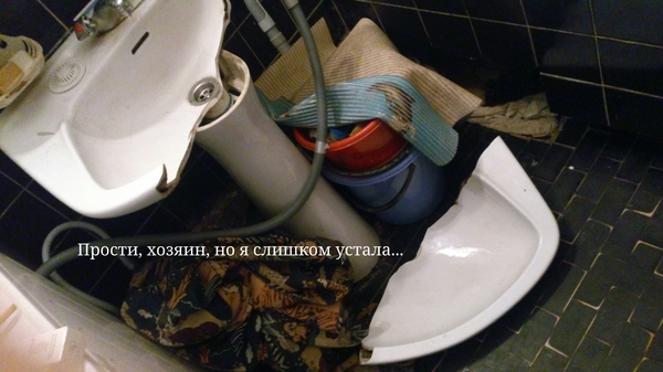 ���� ������, ��