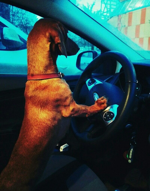 ��������!