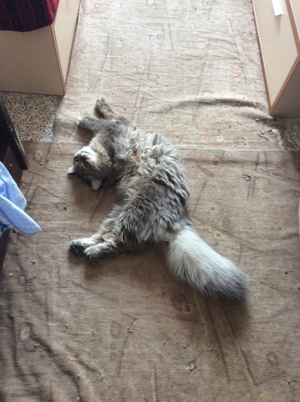     .   .      ,       :)