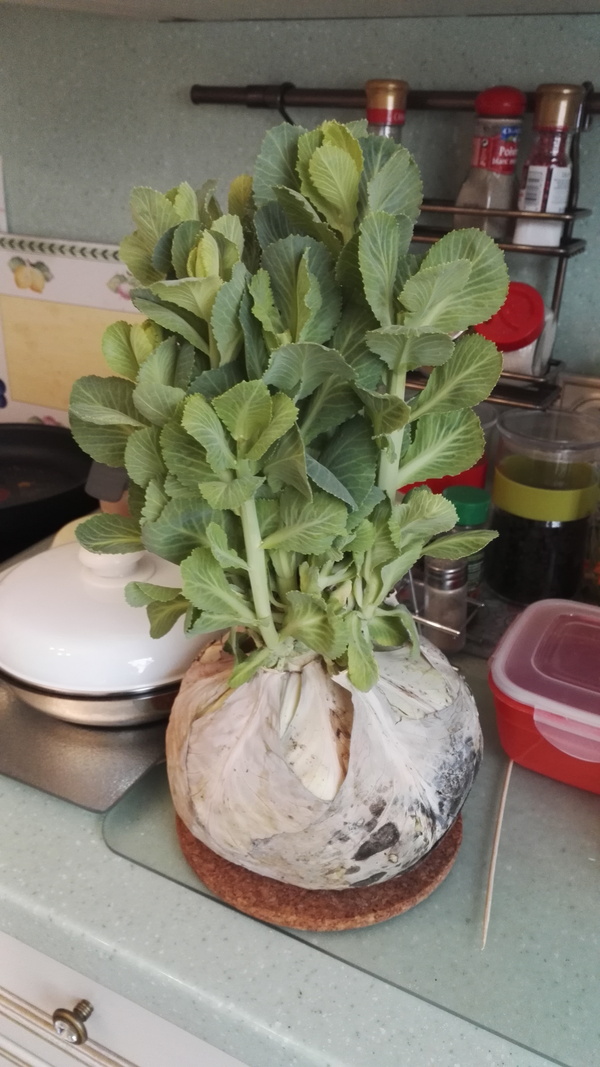 ��������, ��� �� ��������