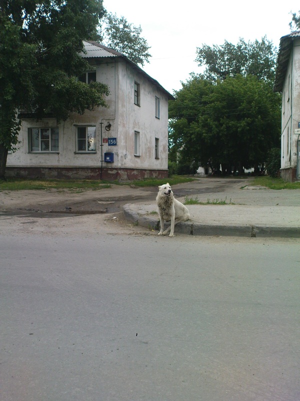 ������ � ������������.