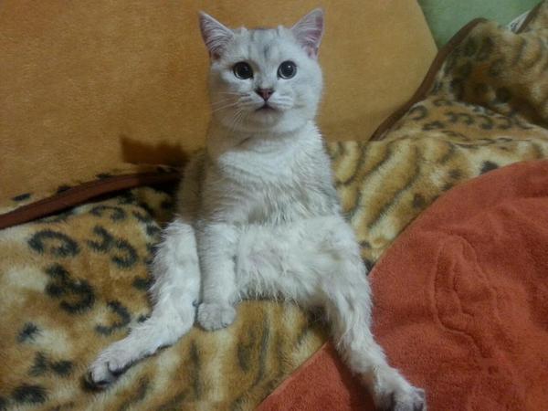 После первого в жизни душа