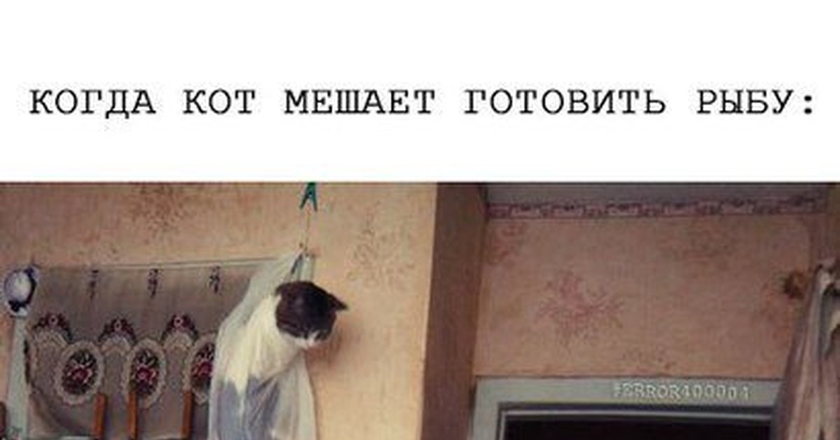 Кот мешает есть. Кот хочет спать. Кот мешает есть. Кот и компьютер. Офисный котик.