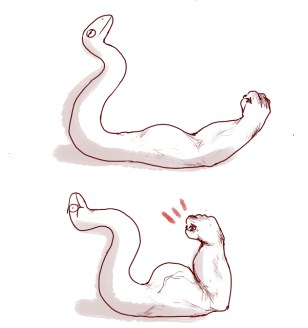 Buff Lizards ,  , , LOL, , , 