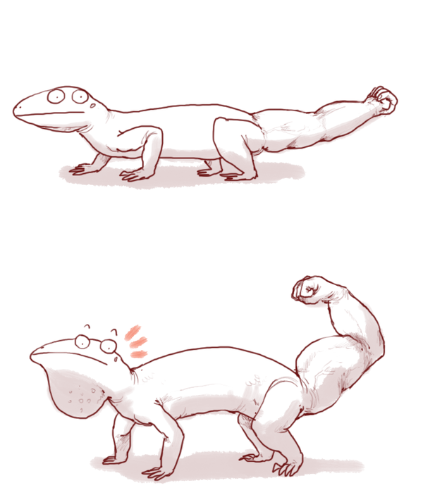 Buff Lizards ,  , , LOL, , , 