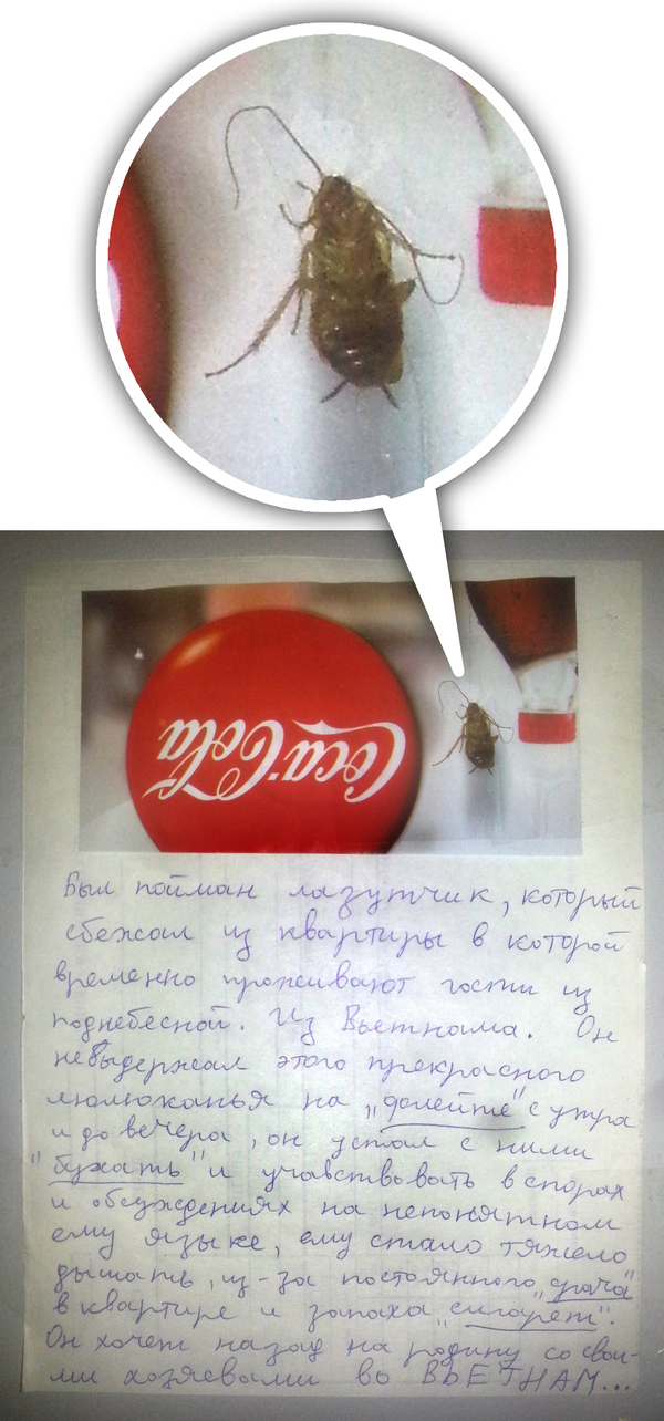 ������ � �������� ����� � "�����������" ��������