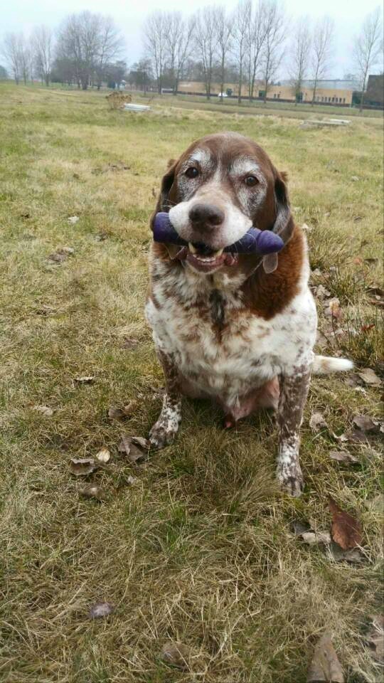 ��� �� �� ��� � ������