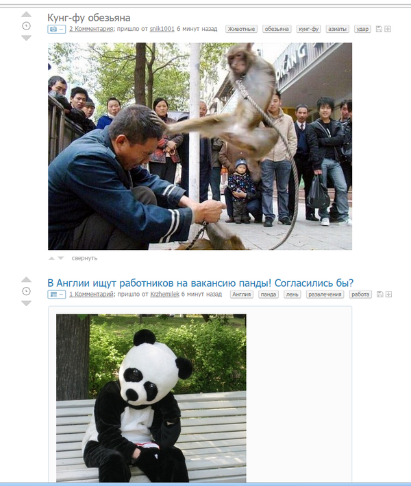 ����-�� ����� ����� �������.