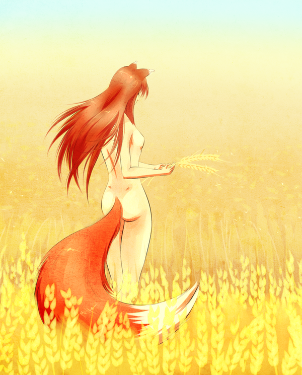 Horo/Holo Anime Art, , Spice and Wolf, Horo, Holo