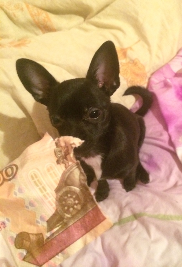 Ох уж этот взгляд..