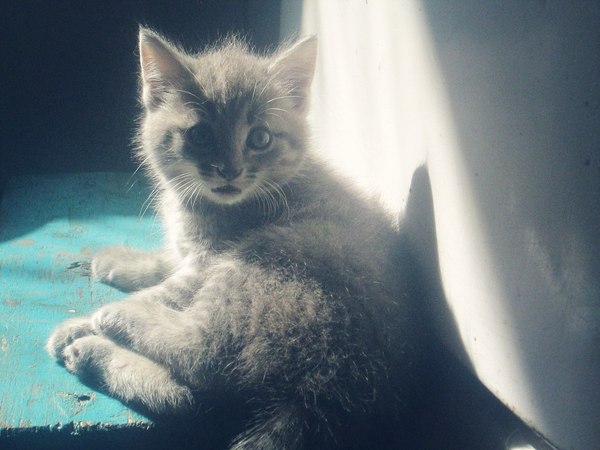 ������� �� ������