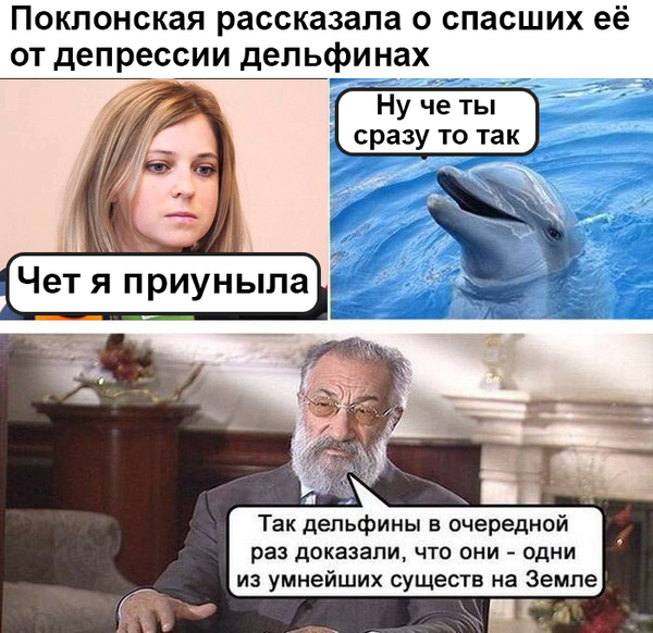 Nyash-Myash, our dolphin - Politics, Russia, Natalia Poklonskaya, Dolphin