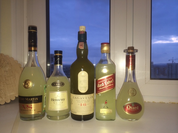 ������ � ��������