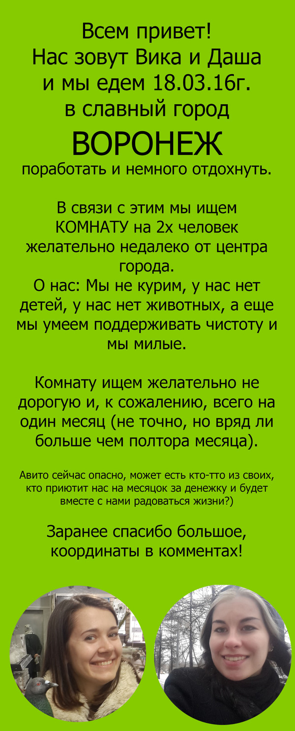 �����������, �������, ����!