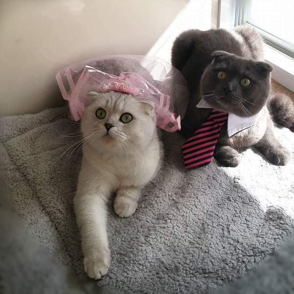 ���� ��� ����