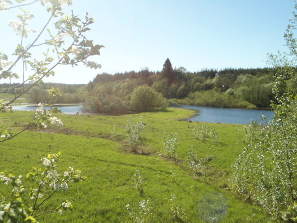 Лето, а лучше конкретно июль, быстрей =)