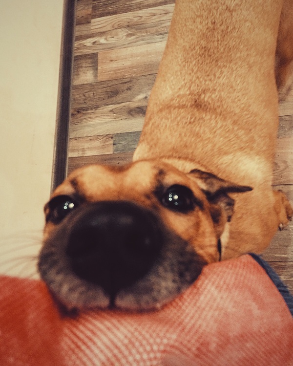 �����������, ����! ��� ����� - �������.