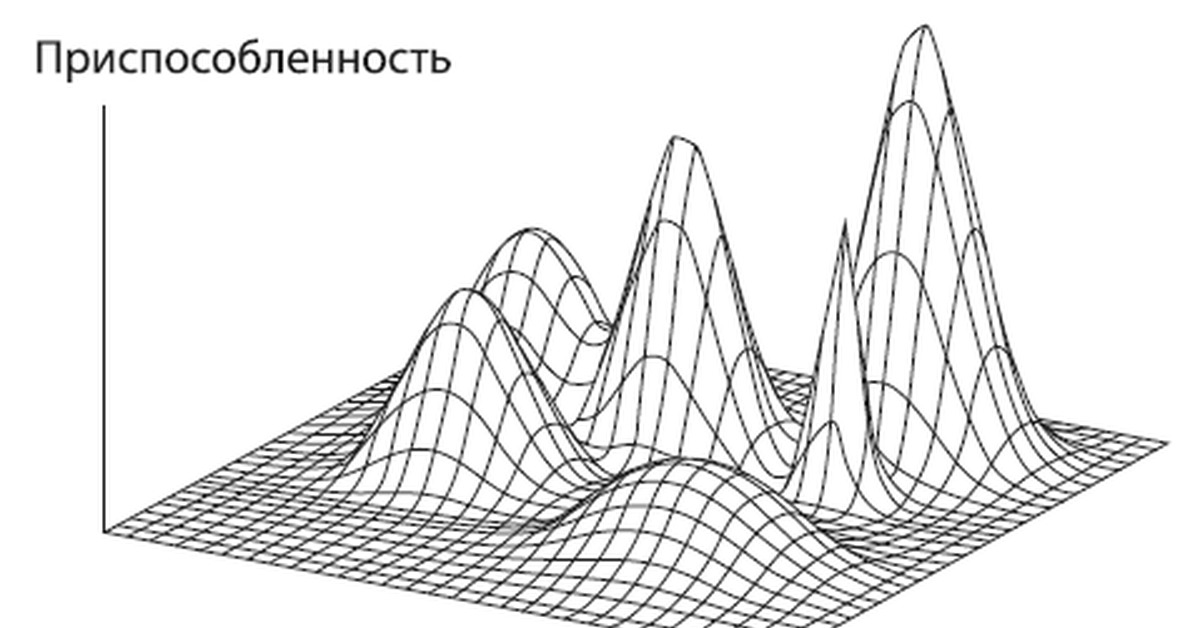 Пространство последовательностей. Глобальный Оптимум. Локальный и глобальный Оптимум. Локальный и глобальный максимум.