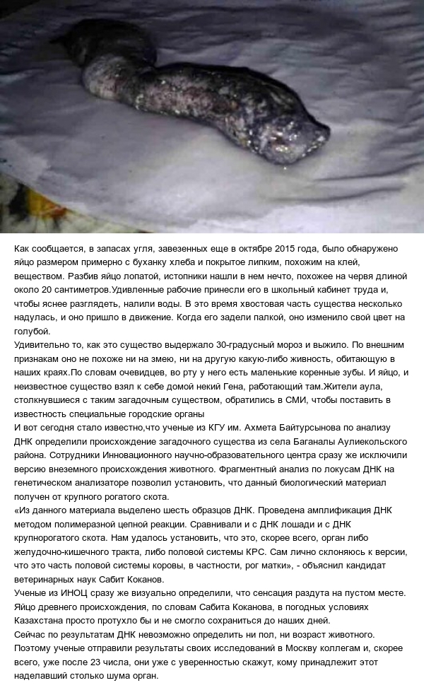 Продолжение истории о "Чужом" из Казахстана.