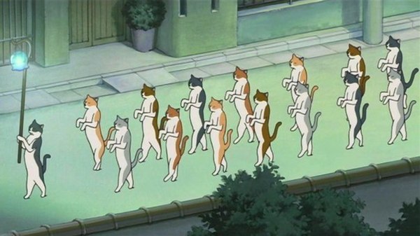 По дороге к одинокой женщине