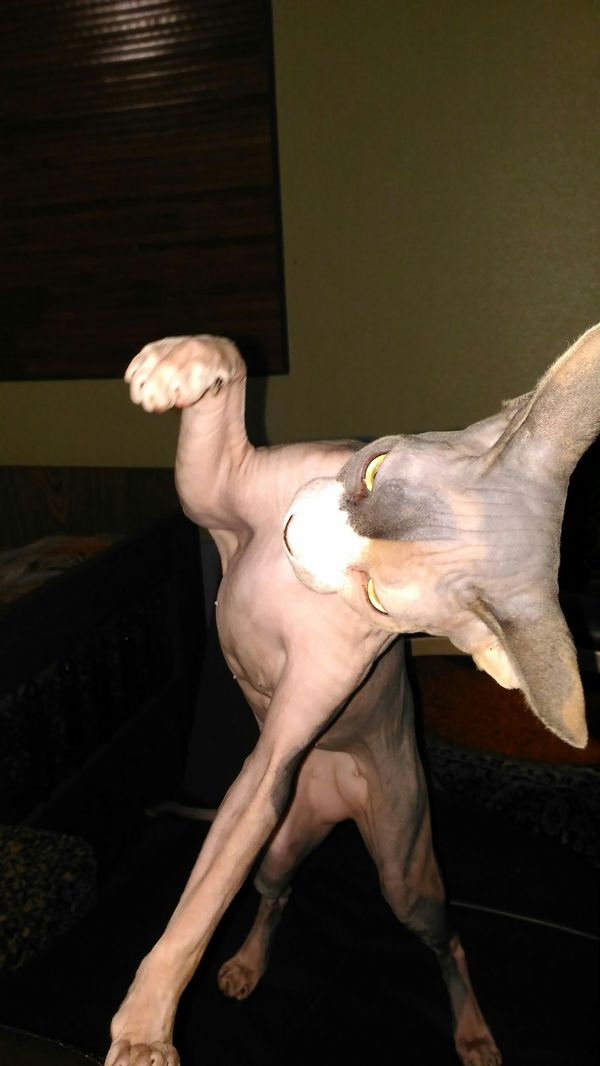  , , 
