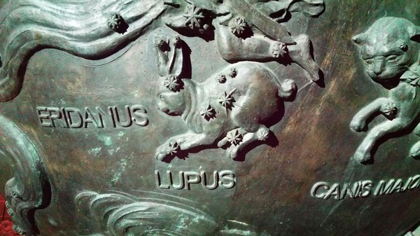        .   - lepus,  lupus - 