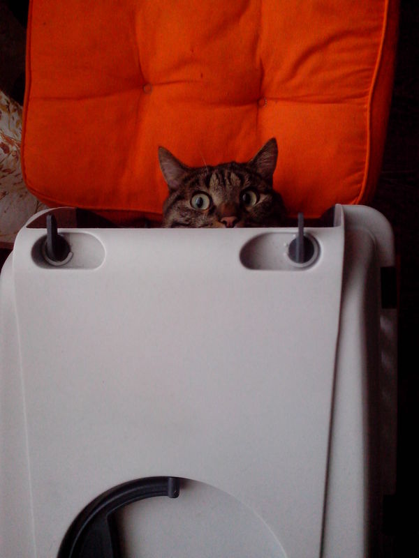 �� ������ �� ��������!