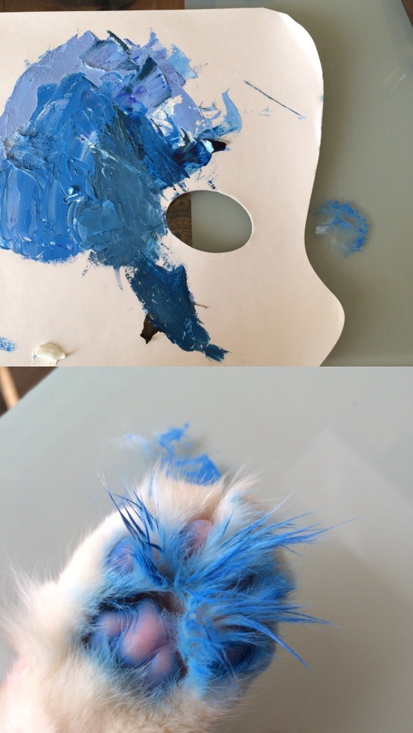 ����� � ��������� ���� ���...