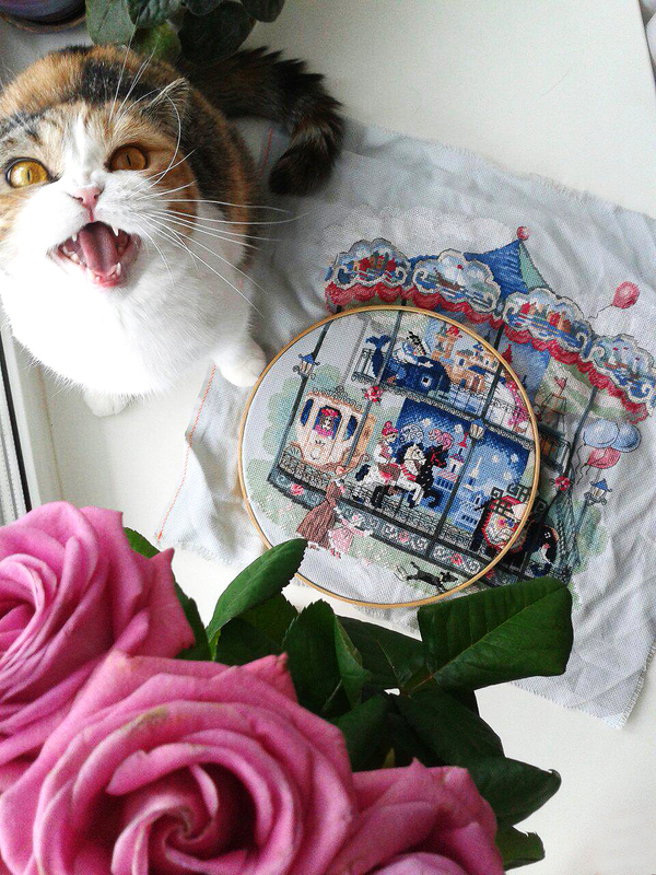 Когда пыталась сделать фото вышивки, а котяра захотела внимания и сказала "МЯУ!"