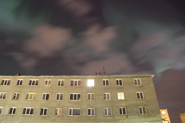 Выглянул я недавно в окно... | Пикабу