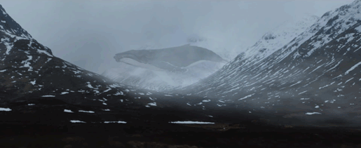 1458296866133126672.gif