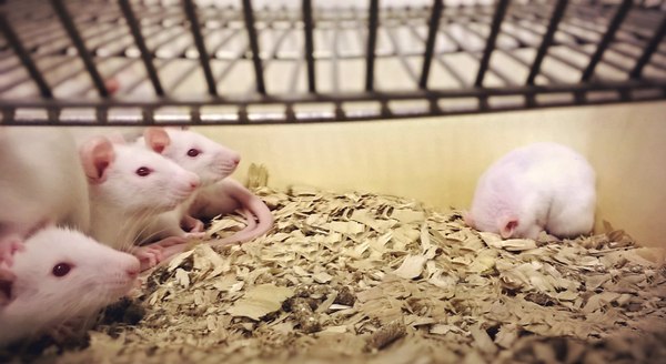 "Мне на всех наспать!"