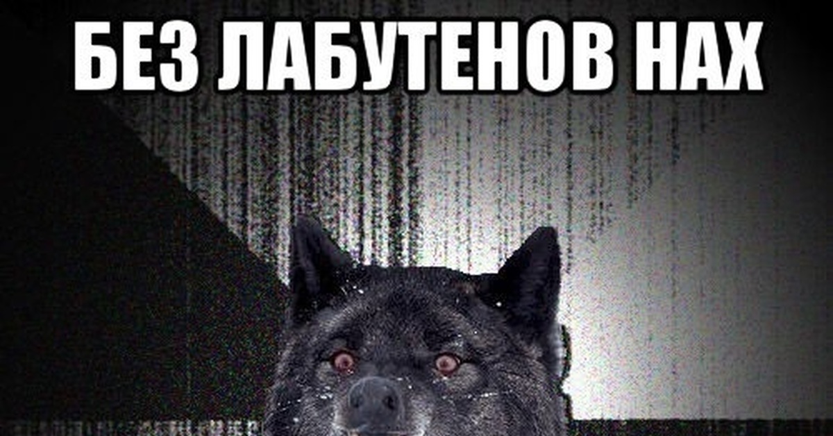 Лабутены. | Пикабу