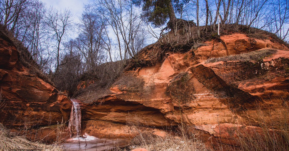 Плюсы жить за городом. Ленинградская область. | Пикабу