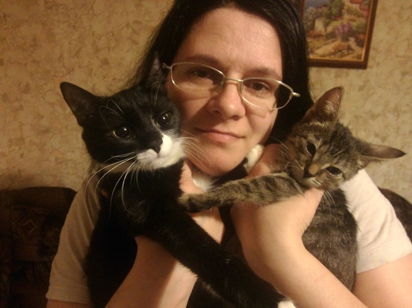 Мои кошечки.