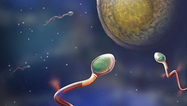 Универсальное средство контрацепции для мужчин и женщин